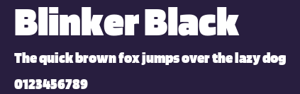 Blinker Black Preview