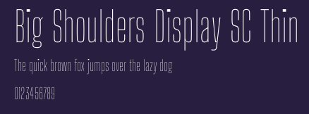 Big Shoulders Display SC Thin Preview