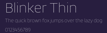 Blinker Thin Preview