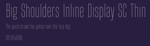 Big Shoulders Inline Display SC Thin Preview