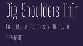 Big Shoulders Thin Preview
