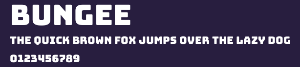 Bungee Preview