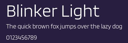 Blinker Light Preview