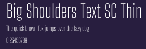 Big Shoulders Text SC Thin Preview