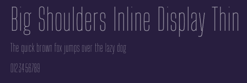 Big Shoulders Inline Display Thin Preview