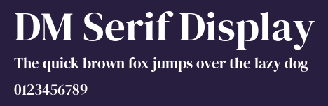 DM Serif Display Preview