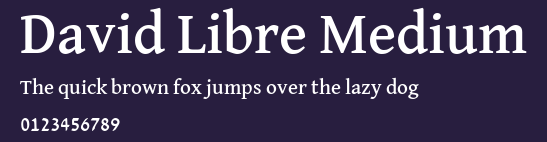 David Libre Medium Preview