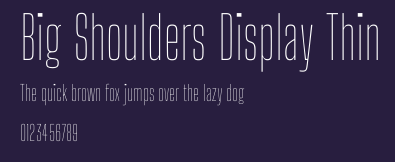 Big Shoulders Display Thin Preview