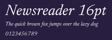 Newsreader 16pt Preview