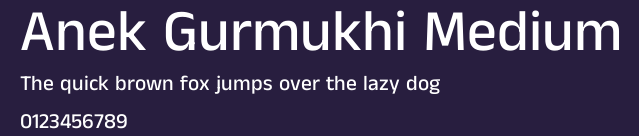 Anek Gurmukhi Medium Preview