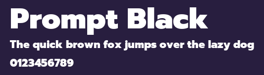 Prompt Black Preview
