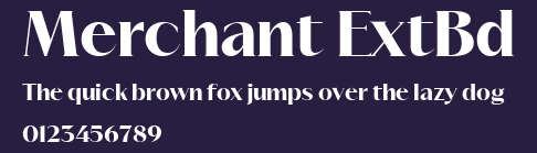 Merchant ExtBd Preview