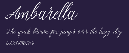 Ambarella Preview