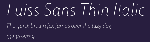 Luiss Sans Thin Italic Preview