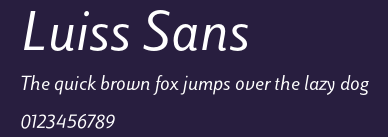 Luiss Sans Preview