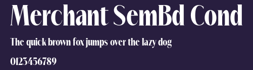 Merchant SemBd Cond Preview