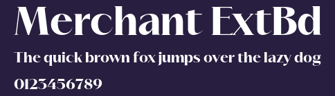 Merchant ExtBd Preview