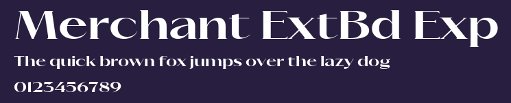 Merchant ExtBd Exp Preview