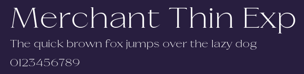 Merchant Thin Exp Preview