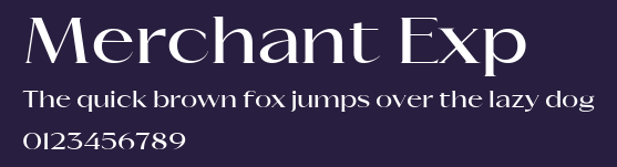 Merchant Exp Preview