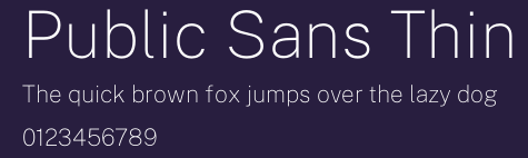Public Sans Thin Preview