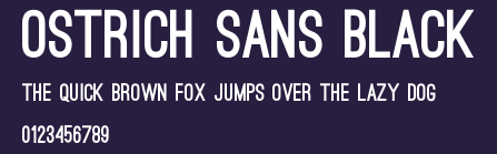 Ostrich Sans Black Preview