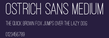 Ostrich Sans Medium Preview