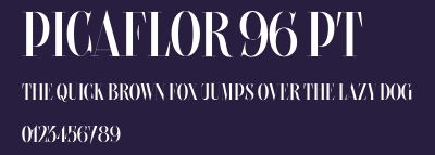 Picaflor 96 pt Preview