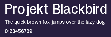 Projekt Blackbird Preview
