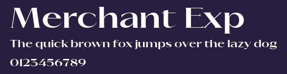 Merchant Exp Preview