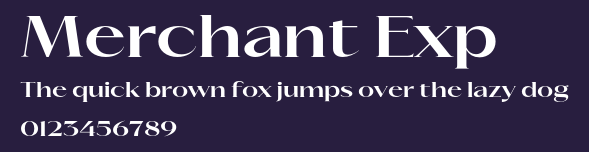 Merchant Exp Preview
