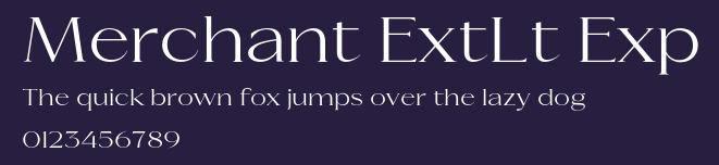 Merchant ExtLt Exp Preview
