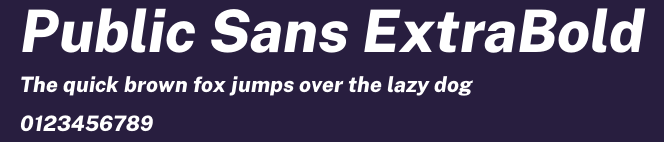 Public Sans ExtraBold Preview