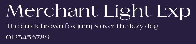 Merchant Light Exp Preview