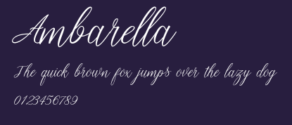 Ambarella Preview
