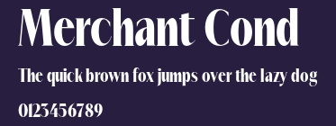 Merchant Cond Preview
