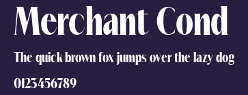 Merchant Cond Preview