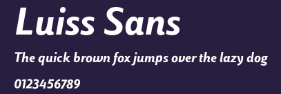 Luiss Sans Preview