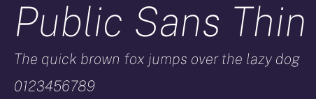 Public Sans Thin Preview