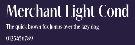 Merchant Light Cond Preview