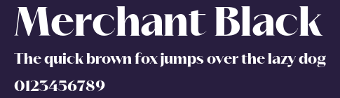 Merchant Black Preview