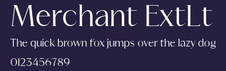 Merchant ExtLt Preview
