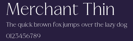 Merchant Thin Preview