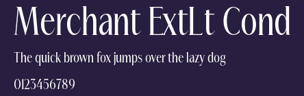 Merchant ExtLt Cond Preview