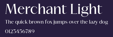 Merchant Light Preview