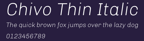 Chivo Thin Italic Preview