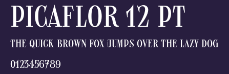 Picaflor 12 pt Preview