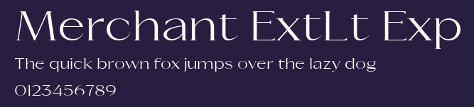 Merchant ExtLt Exp Preview