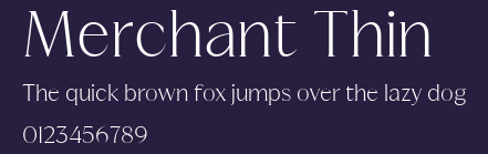Merchant Thin Preview
