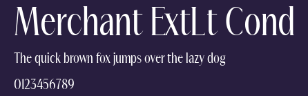 Merchant ExtLt Cond Preview